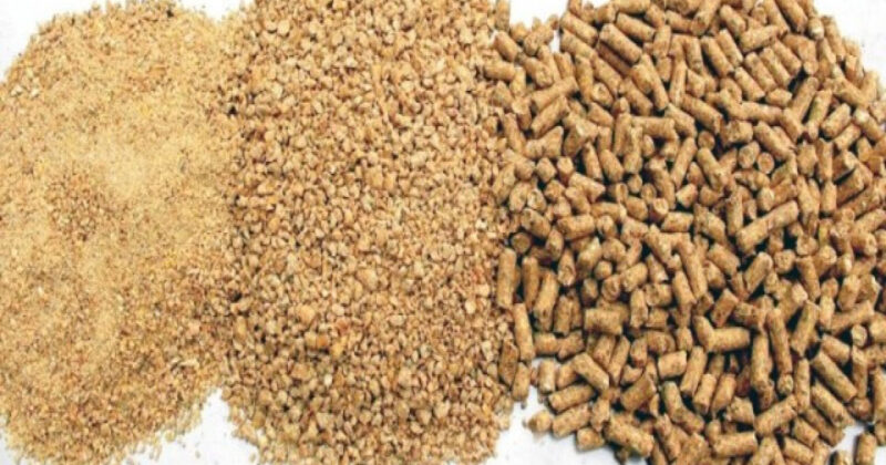 640b0396085a0640b0396085a11678443414640b03960859e640b03960859f